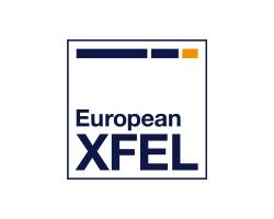 XFEL